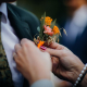 Corsage knapphullsblomst Foto: Pexels / Rene Asmussen