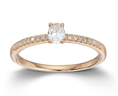 Ring Gult gull - Mestergull