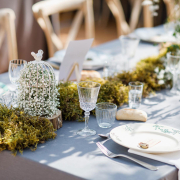 Borddekking med mose