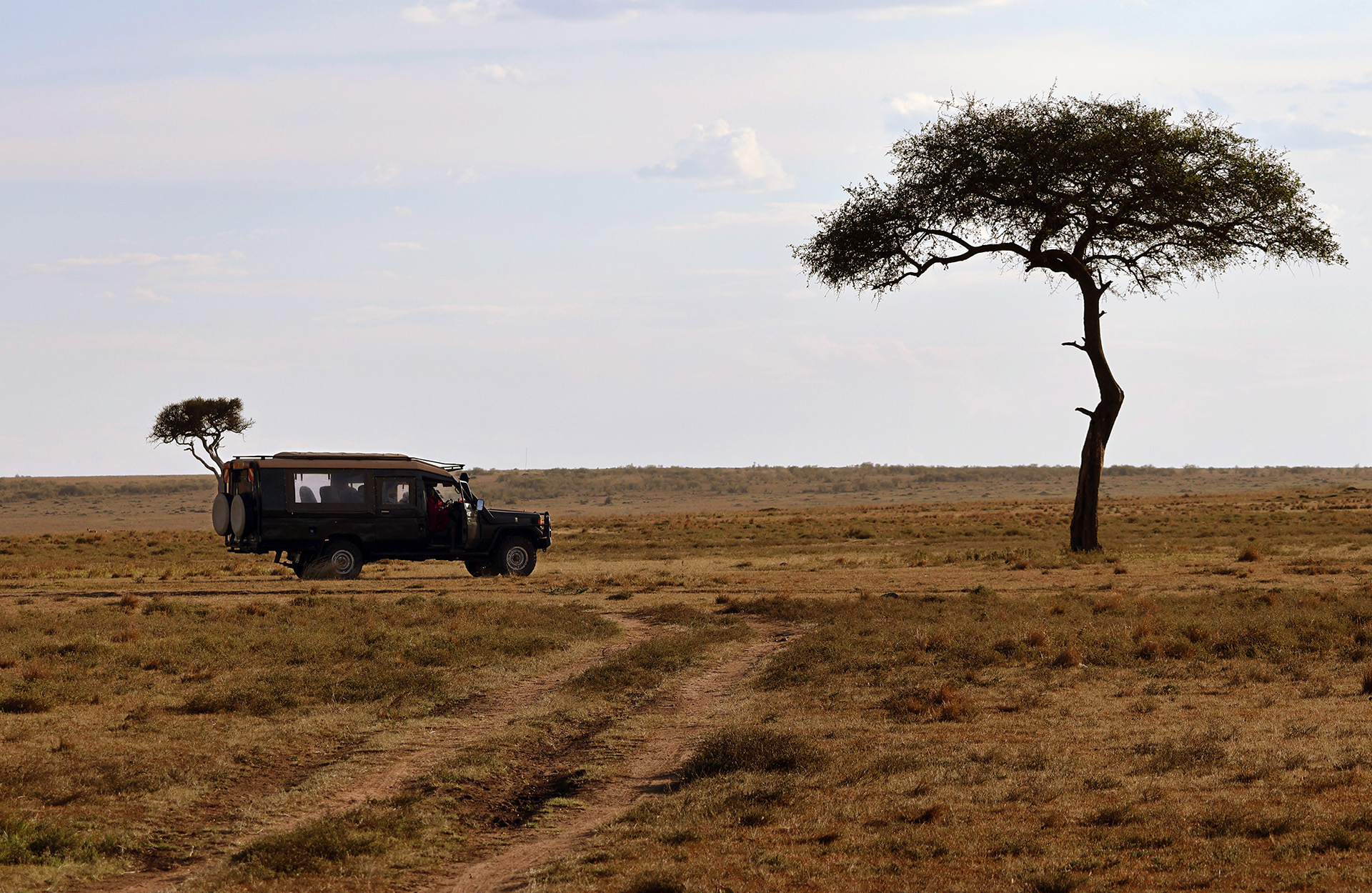 Safari i Kenya - bryllupsreise